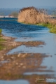 022_Biebrza - kwiecien 2010